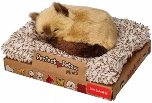 Perfect Petzzz Mały kociak syjamski - Maskotki i pluszaki - miniaturka - grafika 1