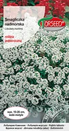 Nasiona i cebule - Nasiona Smagliczka nadmorska biała 1g - Torseed - miniaturka - grafika 1