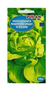 Nasiona i cebule - Sałata szklarniowa Safir 0,5 g POLAN - miniaturka - grafika 1
