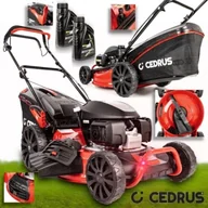 Kosiarki - Honda Kosiarka spalinowa GCV200 KS56SH KS56SH 56cm napęd Moc 201cm3 - miniaturka - grafika 1