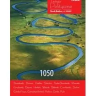 Nauka - Teologia Polityczna Teologia Polityczna nr 9 - 1050 - miniaturka - grafika 1