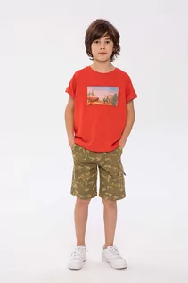 Spodnie i spodenki dla chłopców - Szorty typu bojówki dla chłopca- moro - grafika 1