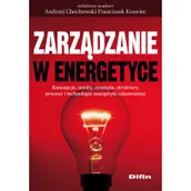 Zarządzanie - Zarządzanie w energetyce - Difin - miniaturka - grafika 1