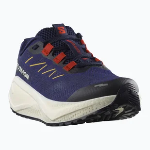 Buty do biegania damskie Salomon Aero Blaze 3 GRVL astral aura/maritime blue/haute red WYSYŁKA W 24H 30 DNI NA ZWROT - Sport OUTLET - miniaturka - grafika 1