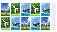Zeszyty szkolne - Herlitz Zeszyt A5/32K linia podwójna Sport (10szt) - - miniaturka - grafika 1