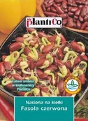 Nasiona i cebule - Plantico Nasiona na Kiełki fasoli - miniaturka - grafika 1