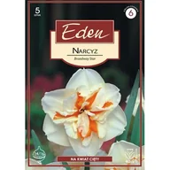 Nasiona i cebule - Narcyz Brodway Star 5 sztuk Eden - miniaturka - grafika 1