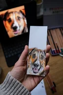 Zakładki do książek - Zamów portret pupila ręcznie malowany na zakładce do książki - miniaturka - grafika 1