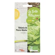 Nasiona i cebule - Nasiona do siewu - Batavia od Pierre-Bénite - 0,5 g - miniaturka - grafika 1
