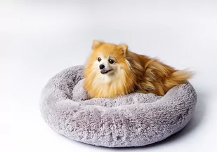 Legowisko SHAGGY szary M 57x57x10 - Legowiska dla psów - miniaturka - grafika 3