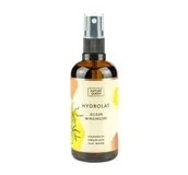 Toniki i hydrolaty do twarzy - Nature Queen Nature Queen, hydrolat oczarowy, 100 ml - miniaturka - grafika 1