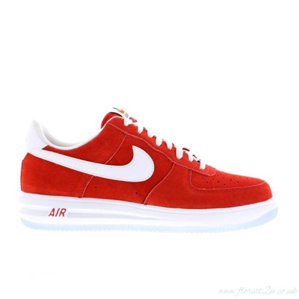 Lunar Force 1 14