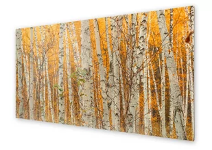 Panel kuchenny HOMEPRINT Drzewa brzozy jesienią 100x50 cm - Dekoracje domu - miniaturka - grafika 1