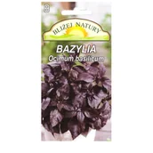 Nasiona i cebule - Bazylia pospolita czerwona - miniaturka - grafika 1