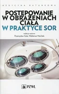 Książki medyczne - Wydawnictwo Lekarskie PZWL Postępowanie w obrażeniach ciała w praktyce SOR - Przemysław Guła, Machała Waldemar - miniaturka - grafika 1