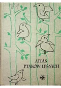 Słowniki języka polskiego - Atlas ptaków leśnych - miniaturka - grafika 1