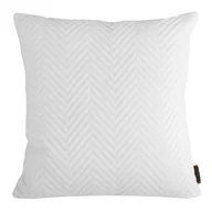 Poszewki na poduszki - EUROFIRANY" B.B. CHOCZYŃSCY SPÓŁKA JAWNA Poszewka Velvetowa Sofia/B 45 x 45 Biały 1218620 - miniaturka - grafika 1