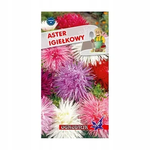 Aster igiełkowy mieszanka 1g / O / - Nasiona i cebule - miniaturka - grafika 1