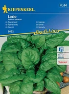 Nasiona i cebule - Szpinak Lazio – Kiepenkerl - miniaturka - grafika 1