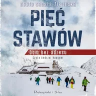 Audiobooki - literatura faktu - Pięć Stawów Beata Sabała-Zielińska - miniaturka - grafika 1