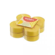 Świece - Podgrzewacze Maxi Lights 8H 8Szt. True Scents Citronella Bolsius - miniaturka - grafika 1