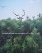 Książki o kulturze i sztuce - Małopolska fotografie To niczego nie wyjaśnia - miniaturka - grafika 1