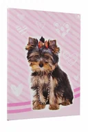 Pozostałe akcesoria dla plastyków - Teczka skrzydłowa z nadrukiem 2cm rzep - miniaturka - grafika 1