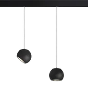 Lampy pozostałe - OXYLED Lampa do szyn magnetycznych GLOBE 12W 3000K DALI czarna 897041 OXYLED 897041 - miniaturka - grafika 1