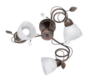 Trio Oświetlenie Leuchten Traditio Lampa Sufitowa Ciemnobrązowy, Rudy, 3-punktowe 600700328 - Lampy sufitowe - miniaturka - grafika 1
