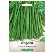 Nasiona i cebule - Fasola szparagowa karłowa Provider nasiona 40g ZIELONA WegAna - miniaturka - grafika 1