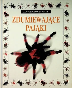 Zdumiewające pająki - Nauki przyrodnicze - miniaturka - grafika 1