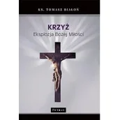 Religia i religioznawstwo - Krzyż. Eksplozja Bożej Miłości - miniaturka - grafika 1