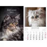 Kalendarze - Kalendarz 2022 Koty rasowe 13-k - miniaturka - grafika 1