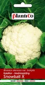 Nasiona i cebule - Kalafior Snowball 1 g PLANTICO - miniaturka - grafika 1