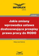 E-booki - prawo - Jakie zmiany wprowadza ustawa dostosowująca przepisy prawa pracy do RODO - miniaturka - grafika 1