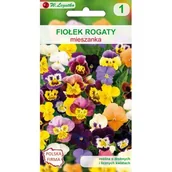 Nasiona i cebule - Fiołek rogaty mieszanka W.Legutko - miniaturka - grafika 1