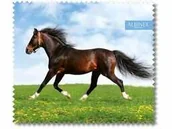 Akcesoria do okularów - Albinex Mikrofibra Z Wzorem - miniaturka - grafika 1