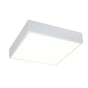 LM P 400/20W PLAFON LED - SUPER PŁASKI WYS. 4,5 CM ! - Oprawy, klosze i abażury - miniaturka - grafika 1