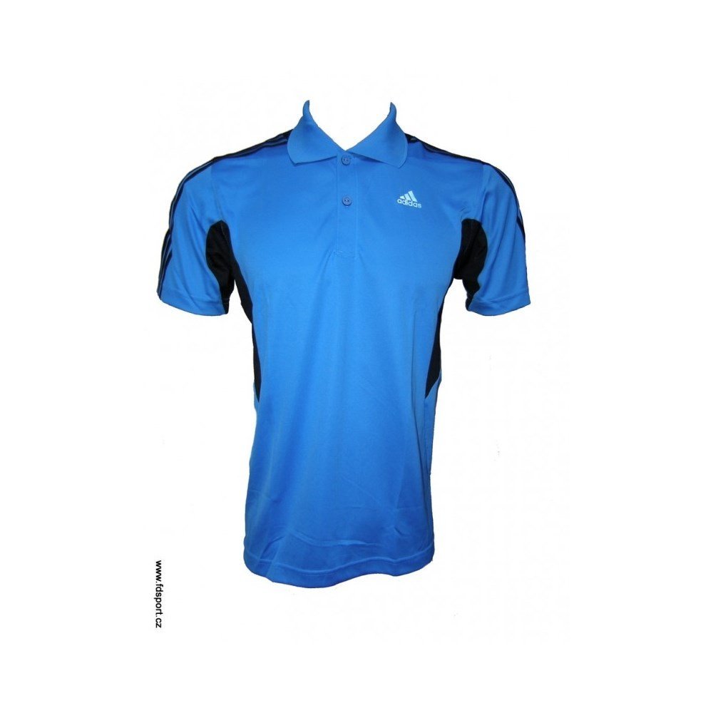 365 Polo