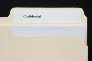 Brother Etykiety Papier do P-touch DK11202 62x100mm 300szt BROTAS30092 - Etykiety do drukarek - miniaturka - grafika 11