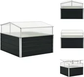 Szklarnie ogrodowe - vidaXL Szklarnia antracyt 100x100x77 cm stal ocynkowana - Donice i doniczki - miniaturka - grafika 1