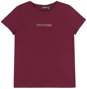 Bordowa koszulka, t-shirt Harry Potter - Bluzki damskie - miniaturka - grafika 1