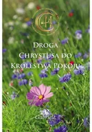 Religia i religioznawstwo - Droga Chrystusa do Królestwa Pokoju - miniaturka - grafika 1