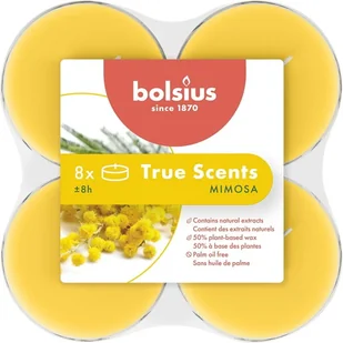 Bolsius True Scents Podgrzewacz zapachowy Maxi Mimosa 8szt - Świece - miniaturka - grafika 1