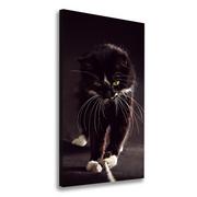 Obrazy i zdjęcia na płótnie - Foto obraz na płótnie do salonu pionowy Czarny kot - miniaturka - grafika 1