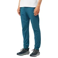 Spodnie męskie - Spodnie męskie Salomon Wayfarer turystyczne trekkingowe-M - miniaturka - grafika 1