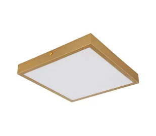 Globo 12382-15 - LED Plafon TIBEY LED/15W/230V 25x25 cm - Lampy sufitowe - miniaturka - grafika 1