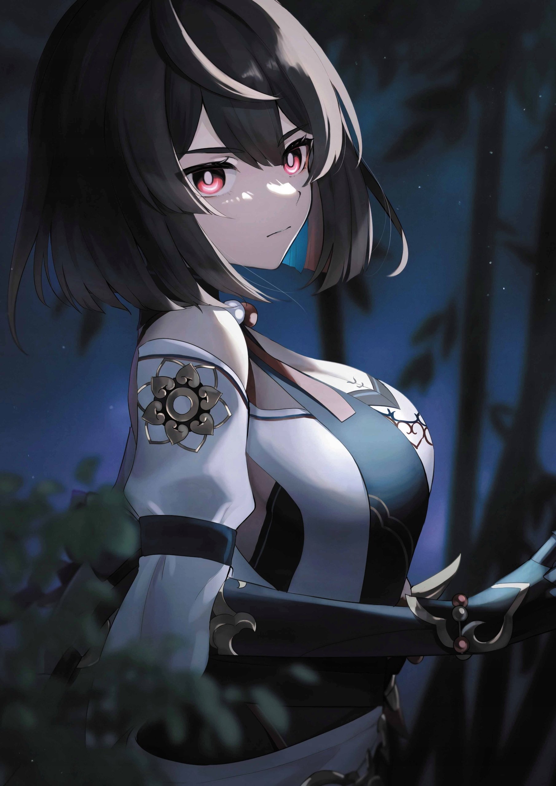 Plakat A3 Honkai Star Rail Hsr Anime Gra Xueyi