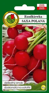 Rzodkiewka Saxa 10 g PNOS - Nasiona i cebule - miniaturka - grafika 1
