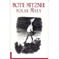 Poezja - Polak Mały - Piotr Mitzner - miniaturka - grafika 1